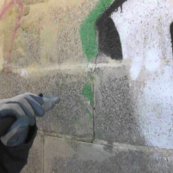 Traitement antimousse pour murs de façade  